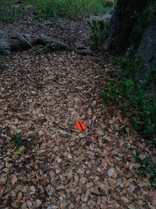 Durable bright orange wallet