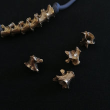 Load image into Gallery viewer, Brass vertebrae bead