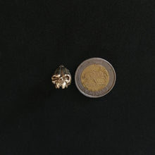 Load image into Gallery viewer, Brass pumpkin skull bead