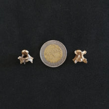 Load image into Gallery viewer, Brass vertebrae bead